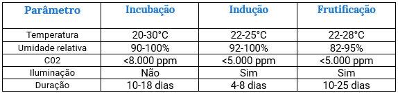 Captura de tela 2024 11 04 145407