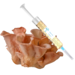 Cultura-líquida-shimeji-rosa Cultura-líquida-Pleurotus-Djamor Cultura-de-micélio-Shimeji-Rosa Cultura-de-micélio-Pleurotus-Djamor Cultura-líquida-cogumelo-shimeji-rosa Cultura líquida Shimeji Rosa